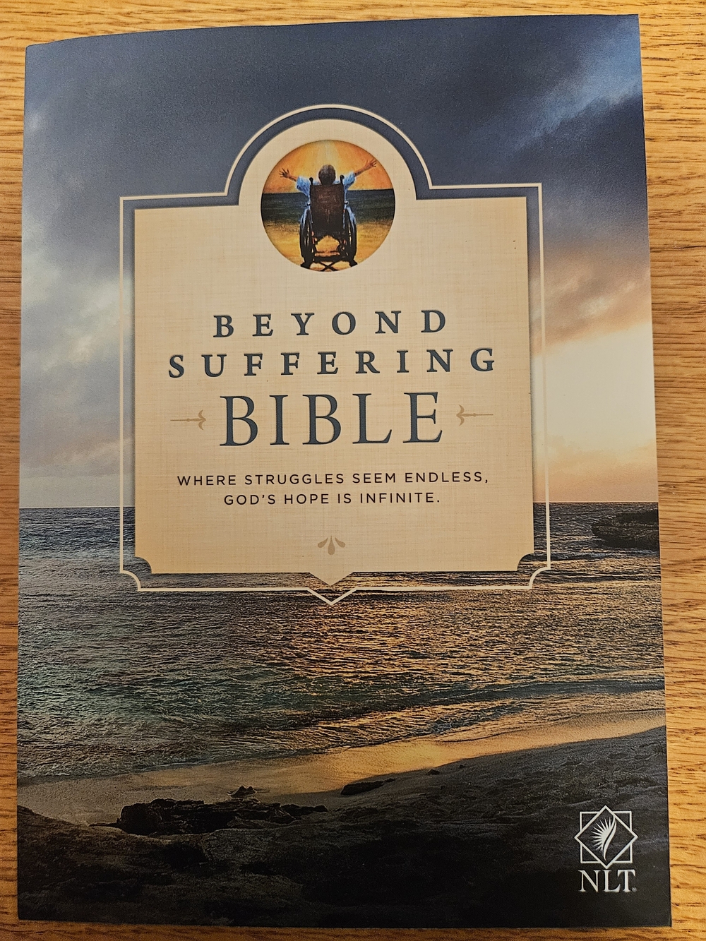 🛍 2/$6 🛍 Beyond Suffering Bible — NLT